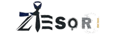 Zesor logo